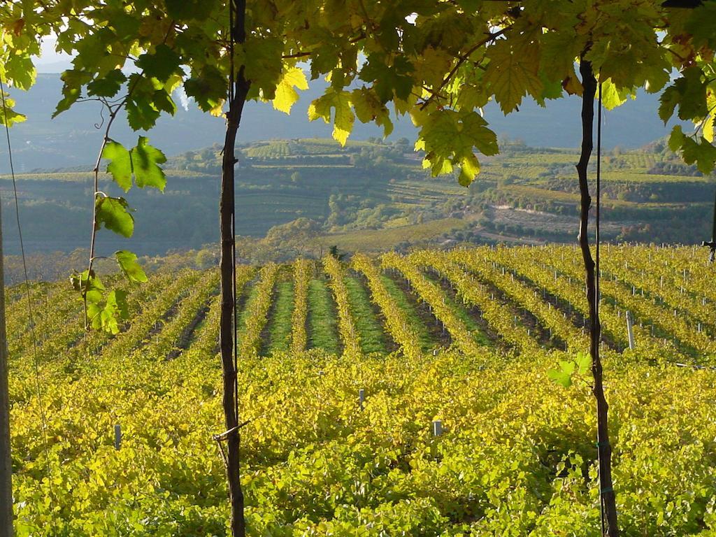 B&B Camignone Franciacorta Passirano Dış mekan fotoğraf